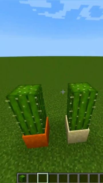 Где кактус вырастет быстрее #майнкрафт #minecraft #shorts смотреть онлайн