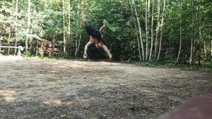 😱Как я учился делать ЭРИАЛ ТВИСТ