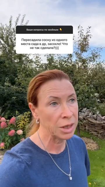 Про пересадку хвойных. #сад #марияниконова #garden #хвойны смотреть онлайн