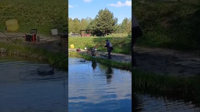 поимки форели смотреть онлайн