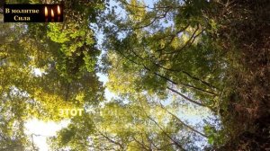 5 Важных Причин Почему Бог Убирает Людей из Вашей Жизн?