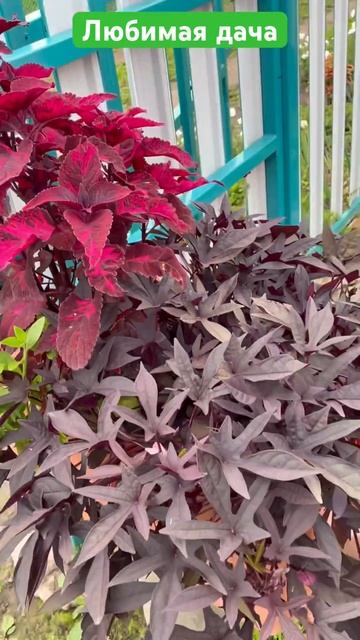 10 апреля 2025 г. смотреть онлайн