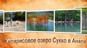 Кипарисовое озеро (озеро Сукко)