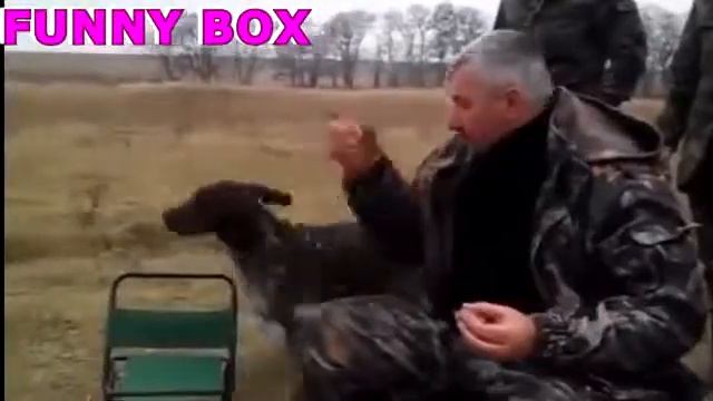 Лучшие приколы 80 уровень =Идиоты и Победители Win & Fails #187 смотреть онлайн