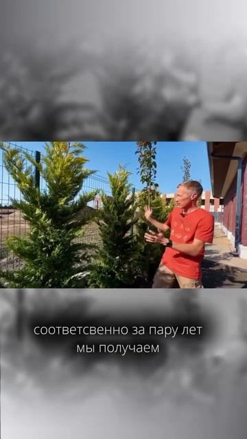 #ландшафтныйдизайн #проектдома #сад #ландшафтноепроек смотреть онлайн