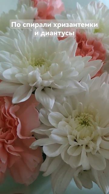 По спирали хризантемки и диантусы смотреть онлайн