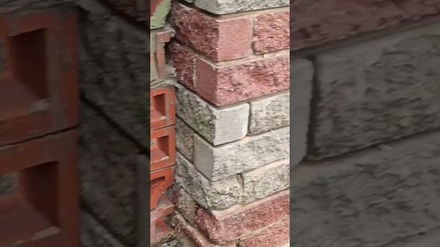 Апгрейд старого забора. смотреть онлайн