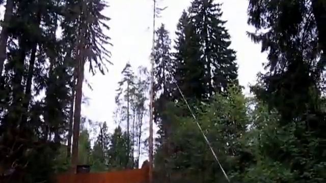 как пилят гигантские ели 2009 смотреть онлайн