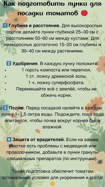 Как подготовить лунки для посадки томатов? смотреть онлайн