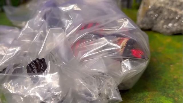 Sinister Shin Godzilla & Humanoid Shin #2