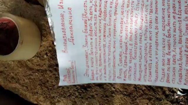 Я живой человек. Мое Волеизьявление, Извещение, Деклар смотреть онлайн