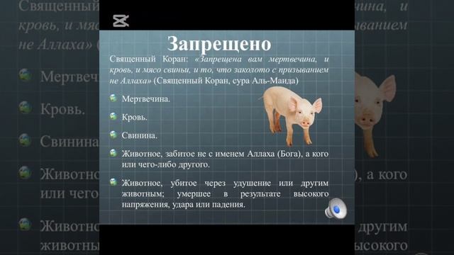 Почему мусульмане не едят мясо свинины. смотреть онлайн
