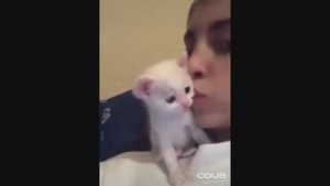 BEST CUBE #3 BEST COUB