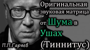 🎧 Оригинальная матрица от шума в ушах (тиннитуса) — слушать онлайн бесплатно 👂🔊