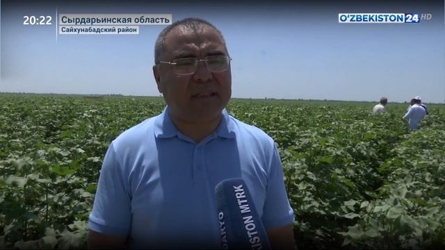 Внедрение инновационных технологий в сельском хозяйс