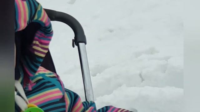 Потеряли лыжи/Спасение лыж и Дениса