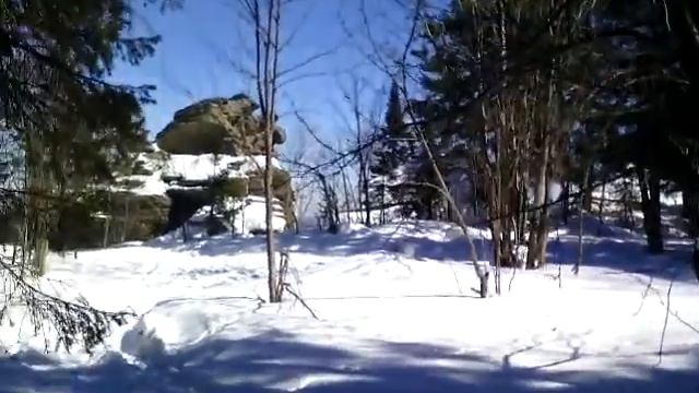 Вот он Шунут