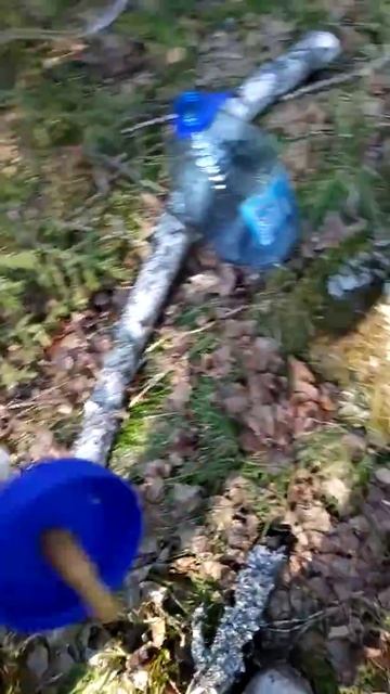 Добываю березовый сок, Красноярский край, с помощью ка смотреть онлайн