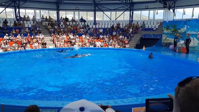 ОТДЫХ В СОЧИ | Дельфинарий Сочи Парка | Дельфины 🐬 рисуют, поют и танцуют | ШОУ ДЕЛЬФИНОВ АДЛЕР смотреть онлайн