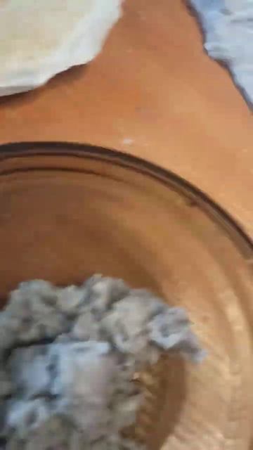 '"венерина мухоловка" #процесссоздания смотреть онлайн