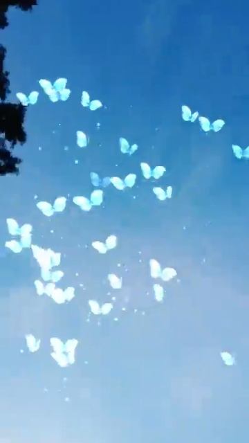 У кого есть приложение Like? смотреть онлайн