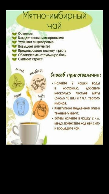 МЯТНО-ИМБИРНЫЙ ЧАЙ/ ПОЛЕЗНО ЗНАТЬ смотреть онлайн