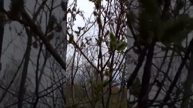 Сергей Мороков/Н смотреть онлайн