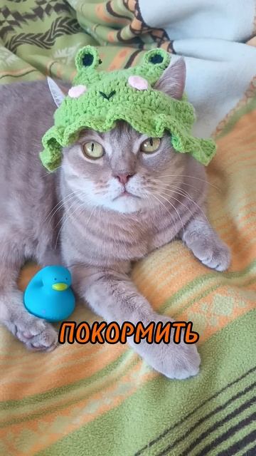 Лютик и Мася "про лягушку" смотреть онлайн