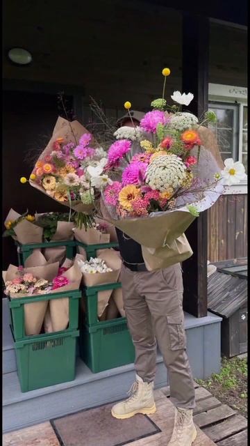 Разминка перед 1 сентября #зацвелонаполяне #продажацв? смотреть онлайн