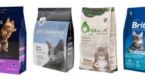 Какой корм для кошек лучше сухой или влажный