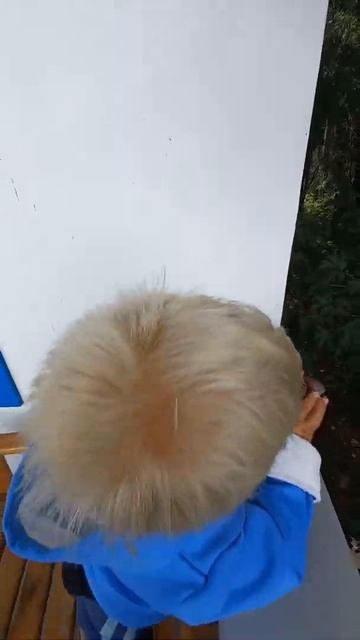 Федя и сливы. Мезмай. Август 2021 смотреть онлайн