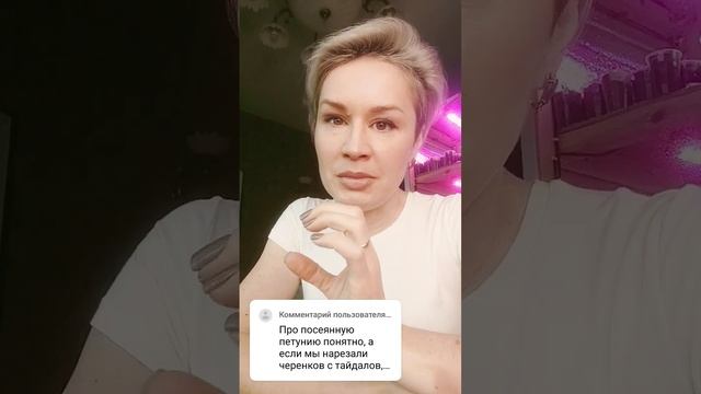 Как прищипывать черенки петунии смотреть онлайн