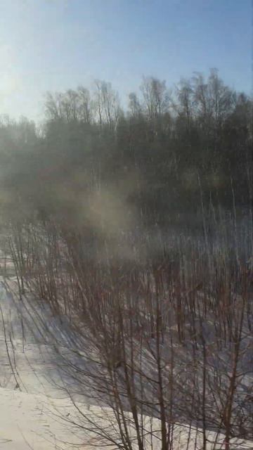 Рязанские берёзы, вид из поезда смотреть онлайн