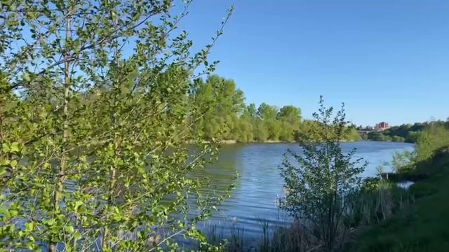 релакс смотреть онлайн