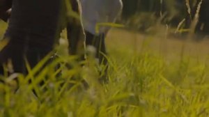 КОСАРИ НА ЛУГУ - Simon Khorolskiy