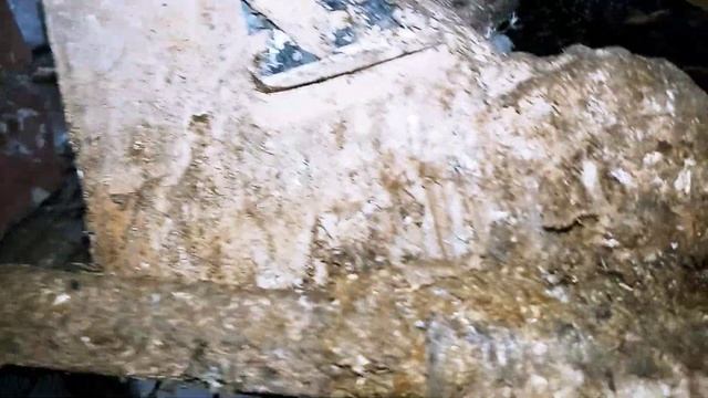 голуби смотреть онлайн
