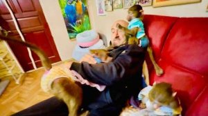 Люська, Степка и Маня БАЛУЮТСЯ и я беру в руки ВОЛШЕБНЫЙ ВЕНИК, обезьяны рванули