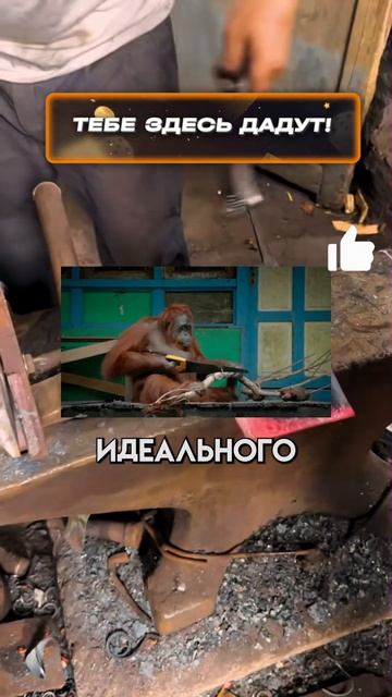 Японские ножи: искусство традиций ⚔️ смотреть онлайн