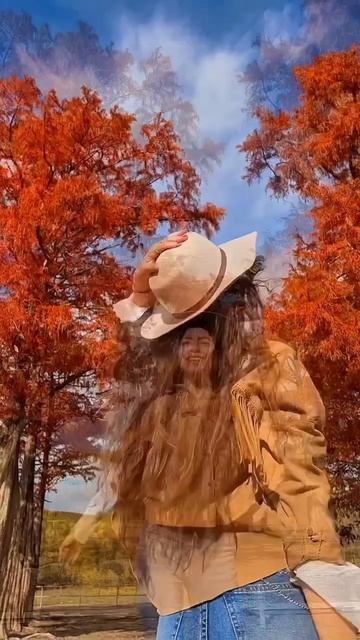 Смена сезонов Болотных Кипарисов в долине Сукко🍂 #бо? смотреть онлайн