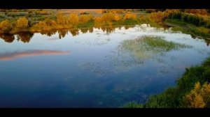 Природный парк Волго-Ахтубинская пойма