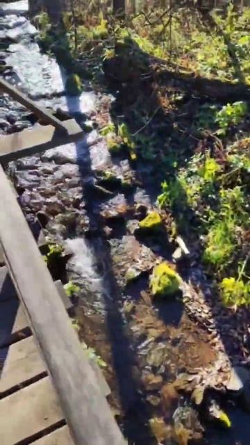 Красноярске столбы #красноярск #столбы #природа #осе? смотреть онлайн