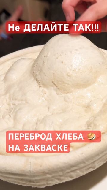 Переброд, теста на закваске! Дети пекут И это тоже хоро