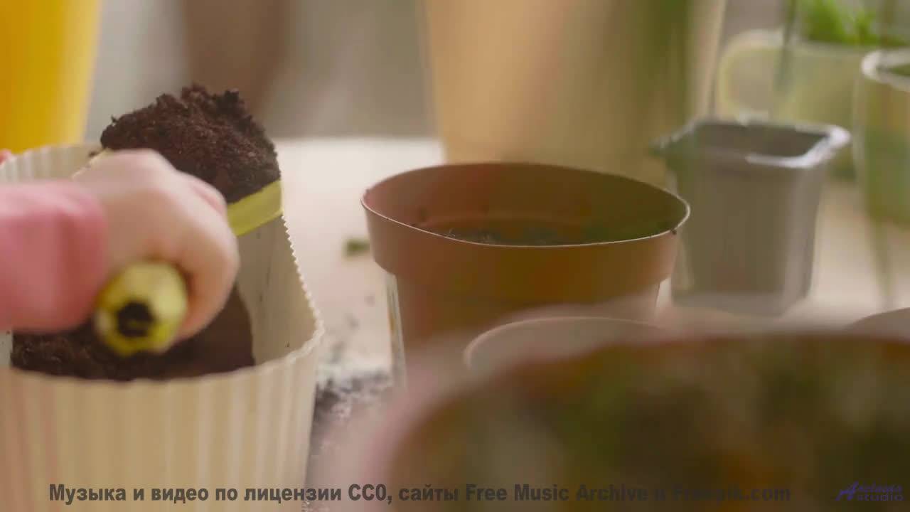 Леса и поля становятся личным храмом под этот трек - Perfectly Imperfect Ft. The Grouch, Scott Nice