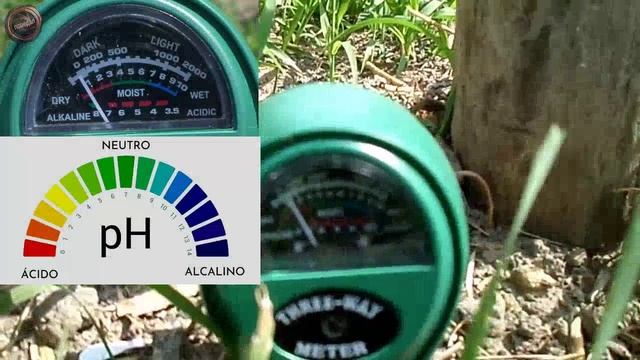 измеритель Кислотности pH-одноразовый