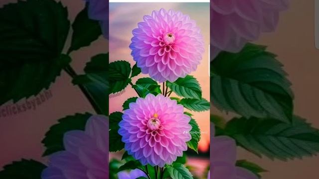 #добрыйдень#чудесногодня смотреть онлайн