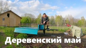 Приучаем коров к пастбищу, "не поднятая" целина, индюки, стройка встала. Жизнь в деревне