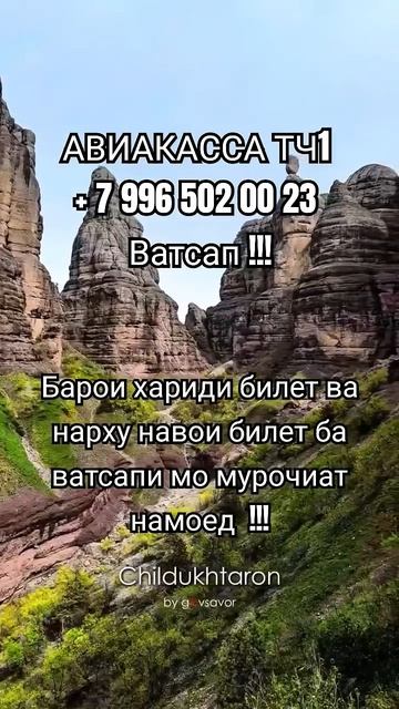АВИАКАССА ТЧ1+79965020023 #aviakassa_tj1 #природа #туризм #авиакасс смотреть онлайн