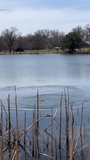 НАЧАЛО есть! Рыбачим дальше! #поплавокрыбалкадлявсех # смотреть онлайн