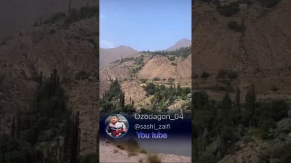 Нозук бадан санам. Саши Заифи #sashi_zaifi #پامیر #сашизаифи