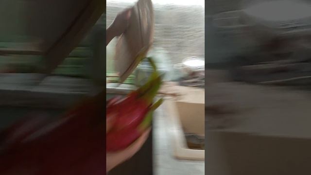 а у нас есть Dragon Fruit смотреть онлайн